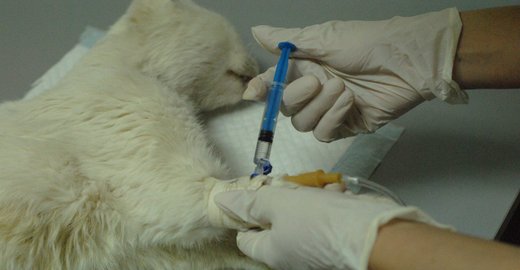 16 поликлиника ростов на дону расписание врачей дерматологов