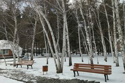 Парк-отель Осинки, с рейтингом 3.7 - находится по адресу Волгоградская область, х. Новенький, 1 километр от х. Новенький, 1 