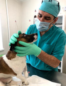 Борзенко Евгений Владимирович