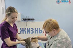 Ветеринарная клиника Жизнь, с рейтингом 4 - находится по адресу Калуга, улица Труда, 4 к1 