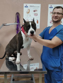 Пустотин Дмитрий Александрович