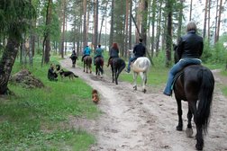 Конный двор Лесное, с рейтингом 4.1 - находится по адресу Лесной курорт 