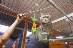 BookingCat, с рейтингом 2.4 - находится по адресу Тюмень, Газовиков, 33 