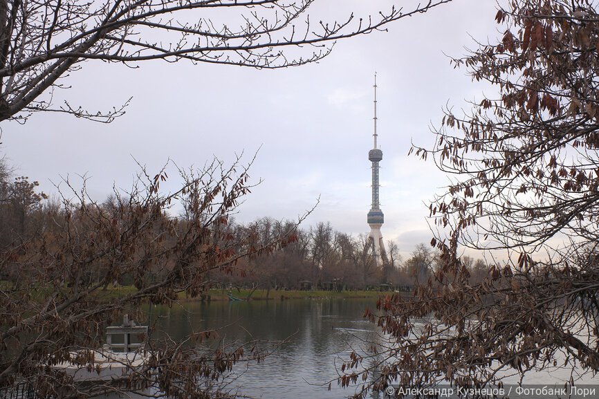 Ташкентская телебашня и японский сад в районе Юнусабад. Ташкент, Узбекистан