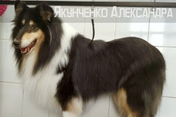 Груминг-салон ЛедМур, с рейтингом 3 - находится по адресу Челябинск, Комсомольский проспект, 103 