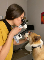 Ветеринарный врач-офтальмолог Валентина Андреева Козлова