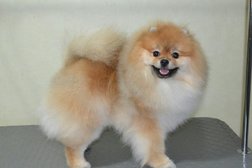 Зоосалон JeFfree, с рейтингом 3.1 - находится по адресу Калининград, улица Олега Кошевого, 9 