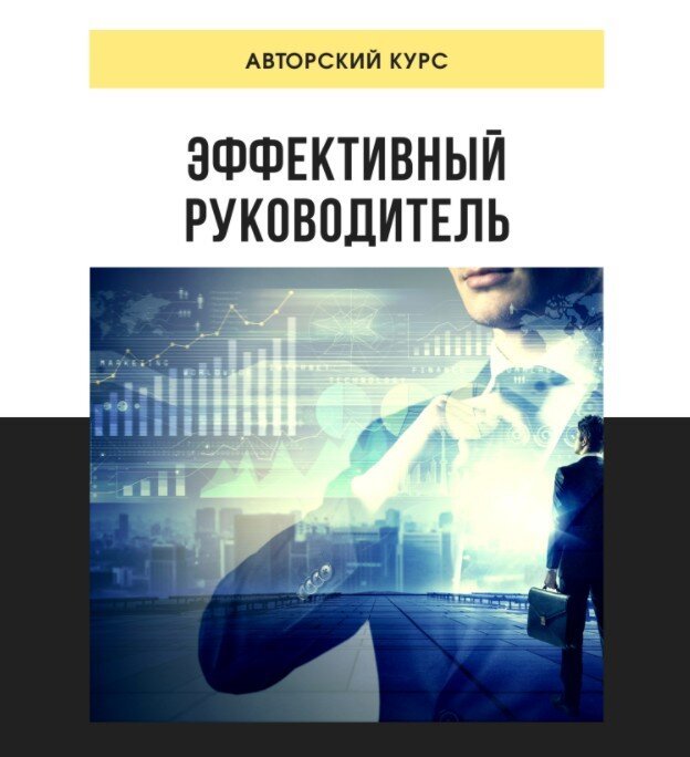 Проект эффективный руководитель