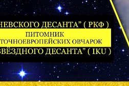 Племенной питомник восточноевропейских овчарок Веодесант, с рейтингом 3.7 - находится по адресу Ленинградская область, Приозерский район, Запорожское сельское поселение, поселок Запорожское, 1 