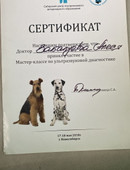 Забалуева Алеся Анатольевна