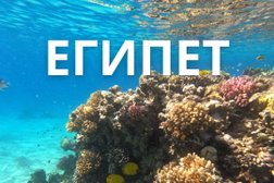 Турагентство Яроблтур, с рейтингом 4 - находится по адресу Ярославль, Толбухина проспект, 17/65 