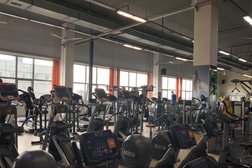 Фитнес-клуб Alex Fitness, с рейтингом 3.6 - находится по адресу Череповец, Годовикова, 37 