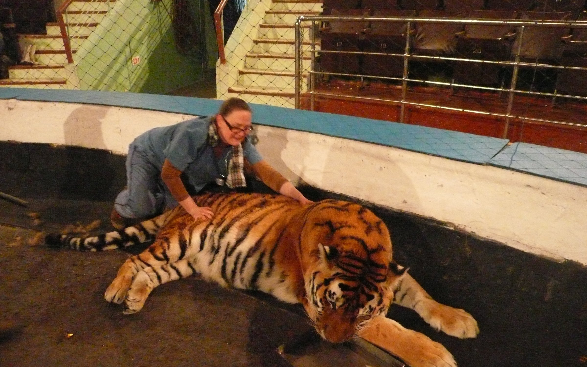 Ветеринарный диагностический центр доктора Орловой, ветеринарная ...