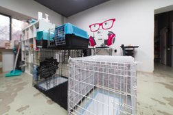 Студия груминга Ёж, с рейтингом 4.8 - находится по адресу Тюмень, Комсомольская, 8 