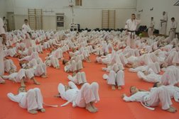Спортивный клуб киокусинкай карате Сэйкен, с рейтингом 4.7 - находится по адресу Московская область, Подольск, улица Володи Дубинина, 3а 