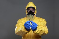 Выездная служба НАСЕКОМЫХ.НЕТ, с рейтингом 3.7 - находится по адресу Великий Новгород 