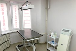 Ветеринарная клиника GoldenVet, с рейтингом 4.5 - находится по адресу Воронеж, улица 9 Января, 170 