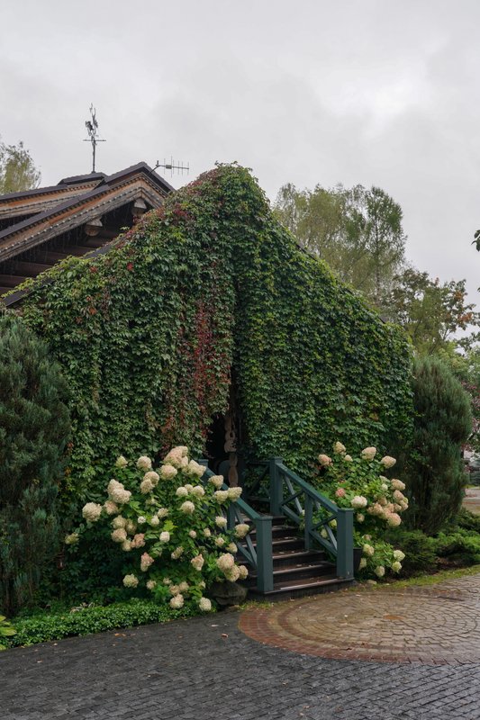 фотография Бутик-отеля &amp; SPA Сенешаль в Солнечногорске