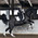 фотография EquineManagement.ru