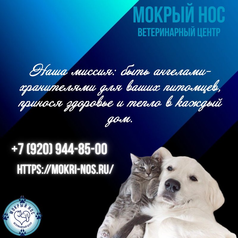 фотография Ветеринарного центра Мокрый нос на Халтуринской улице, д18
