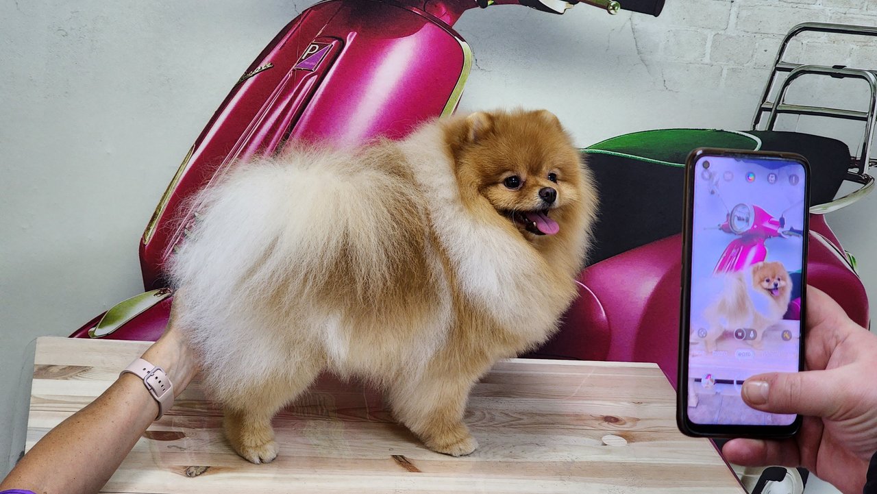 фотография Зоосалона Модный друг