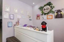 Зооцентр Эйс Вентура, с рейтингом 4.8 - находится по адресу Москва, улица Академика Виноградова, 1к1 