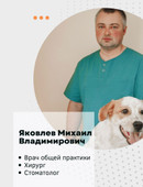 Яковлев Михаил Владимирович