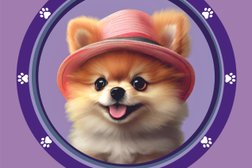 Груминг-салон Франческа, с рейтингом 4.9 - находится по адресу Краснодар, Валерия Гассия, 21 