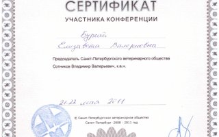 сертификат/документ ветеринара Елизаветы Валериевны Смирновой