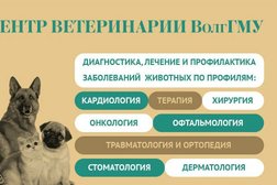 Центр ветеринарии ВолгГМУ, с рейтингом 4.9 - находится по адресу Волгоград, улица им. Рокоссовского, 1г 