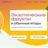 фото от пользователя Мария в отзыве о Fox Design