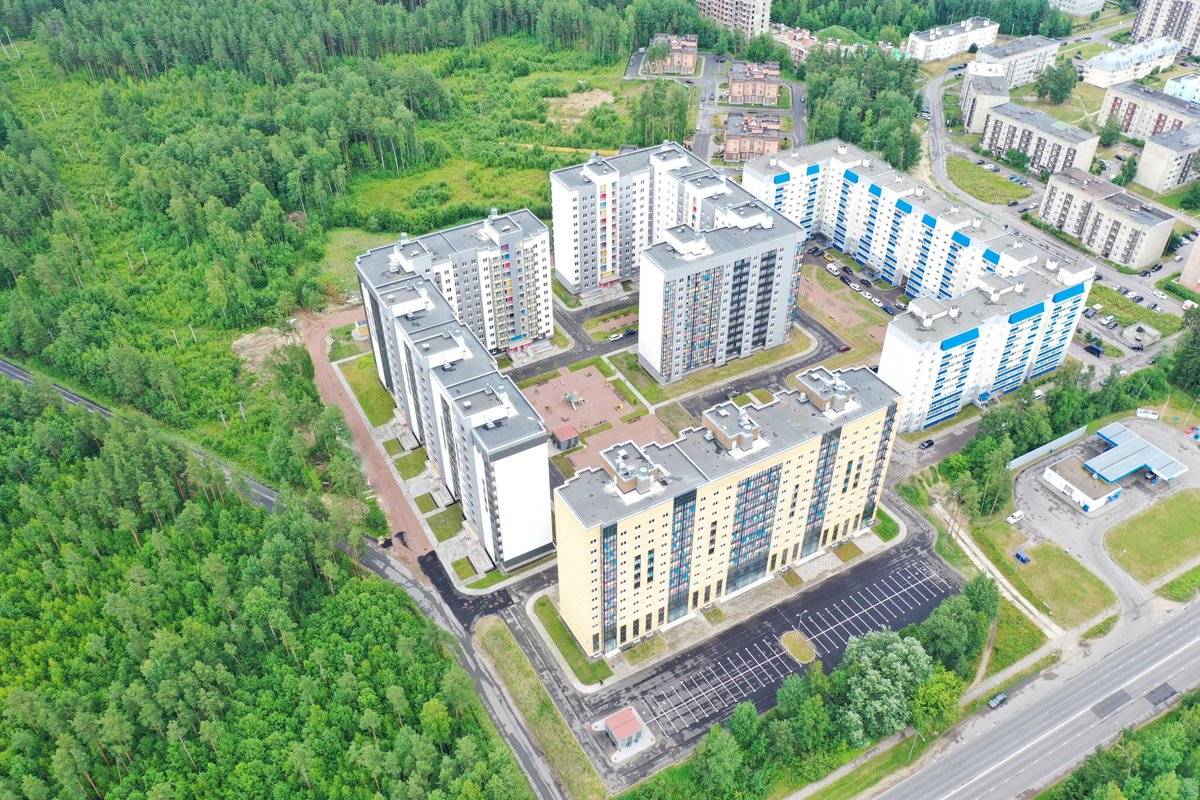 спецтехнострой. ск выборг. Freedom строительная компания. выборгские строительные компании. таможенный переулок 6 выборг.