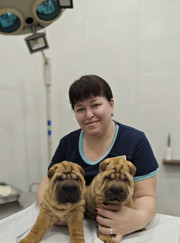 Ветеринар, ветеринарный врач-терапевт Оксана Валерьевна Савченко