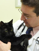 Сергеев Михаил Евгеньевич