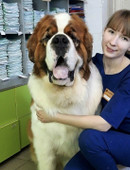 Линникова Арина Владимировна