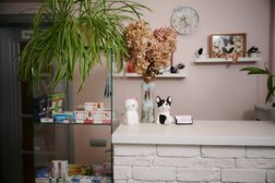 Ветеринарная клиника Мама кошка, с рейтингом 2.8 - находится по адресу Москва, Пятницкое шоссе, 6, корп. 6 