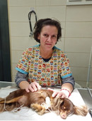 Давыдова Елена Владимировна