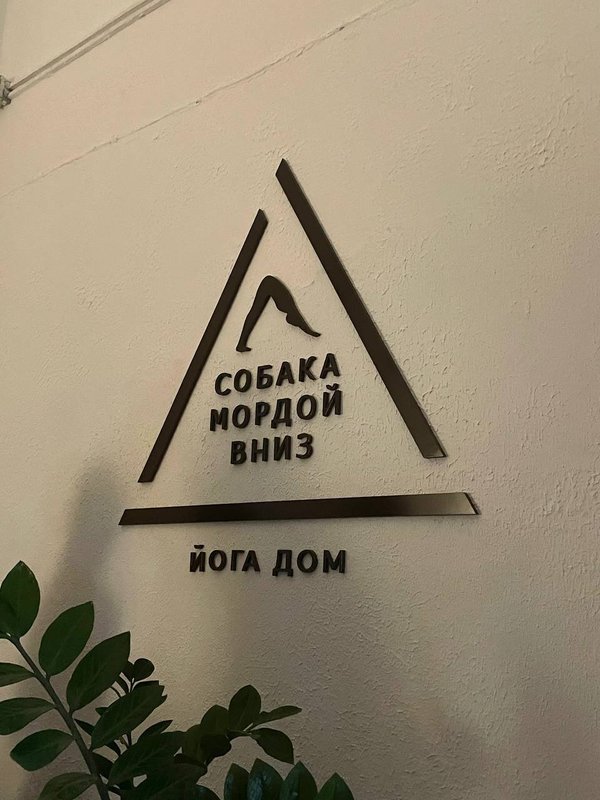 фотография Йога-дома Собака мордой вниз на метро Октябрьское поле