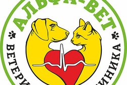 Ветеринарная клиника Альфа-Вет, с рейтингом 3.1 - находится по адресу Республика Крым, Симферополь, Севастопольская улица, 43Е 
