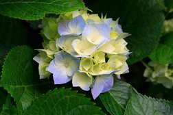 Компания Глобал Связь Инжиниринг, с рейтингом 4 - находится по адресу Алматы, Толе би, 291 лит М 