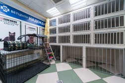 Ветеринарная клиника Надежда, с рейтингом 4.6 - находится по адресу Москва, Вильнюсская улица, 5 