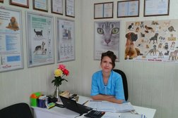 Ветеринарная клиника Феликс, с рейтингом 3.1 - находится по адресу Самара, Ново-Вокзальный тупик, 21а 