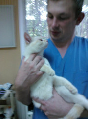 Ветеринарный хирург Олег Валерьевич Андронов