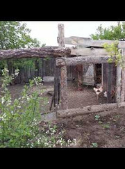 Риелтор, юрист Илья Николаевич Корниенко