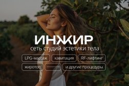 Инжир