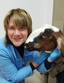 Самойлова Екатерина Александровна