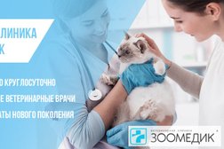 Ветеринарная клиника Зоомедик, с рейтингом 4.9 - находится по адресу Москва, улица Дмитрия Ульянова, 4к1 