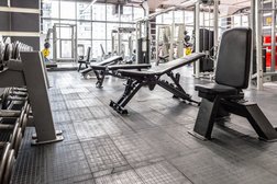 Фитнес-клуб DD-SPORT, с рейтингом 3.4 - находится по адресу Москва, Привольная улица, 70 