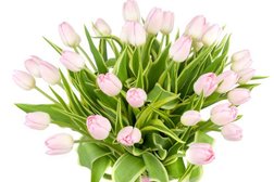 Салон цветов Studioflor, с рейтингом 3.2 - находится по адресу Москва, Хоромный тупик, 2/6 