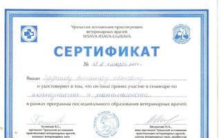сертификат/документ ветеринара Александра Ивановича Бурдышева